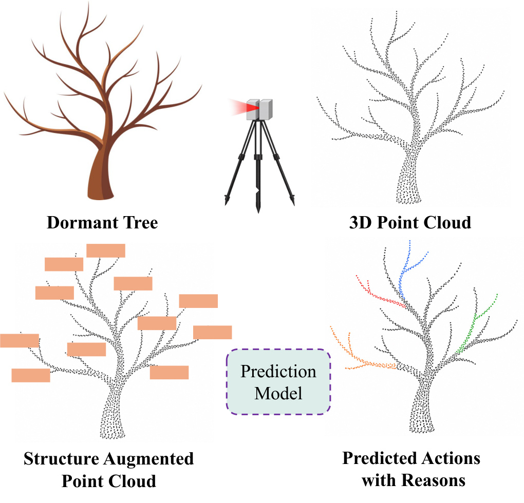 Teaser for orchard pruning paper
